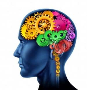 Niente fortuna, solo abilità: il bridge torna e si rimonta sul poker